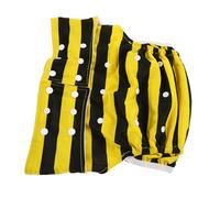 BCOATH Reusable Printed Cloth Adult Diaper Leakproof Washable Incontinence Pants for Elderly Unisex Protection