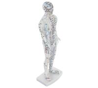 BCOATH White Human Acupuncture Model Male Body with Accurate Acupoint Labeling for Traditional Chinese Medicine Learning Pressure Point Meridian Display Mannequin Sturdy Simulation Model
