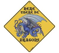 BCTS Here There Be Dragons Sign Funny Metal Sign Crossing Traffic Novelty Square Sign 12x12 inch