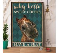 BCTS Why Hello Sweet Cheeks Horse Have A Seat Vintage Horse Lovers Poster Funny Decor Metal Sign 12x16 inch