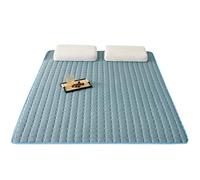 BCVPGF Breathable Cooling Mattress Cover, Ice Silk Bed Sheet, Single Double Cooling Sheet Bedspread Quilting, Machine Washable for Hot Weather, Blue-80x190cm