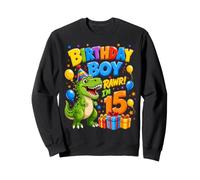 Bday 15 Years Old Boys Rawr T-Rex Dino 15th Birthday Boy Sweatshirt