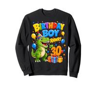 Bday 30 Years Old Boys Rawr T-Rex Dino 30th Birthday Boy Sweatshirt