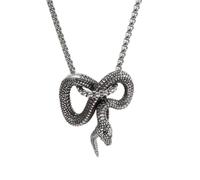 BDDCYWY Jewelry Unisex Stainles Stell Retro Gothic Coiled Black Mamba Snake Animal Pendant Necklace Men's Personalized Punk Trend Cool Jewelry Fashion Trendy Accessories Creative Gift For Women And