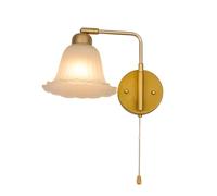 BDDCYWY Light Bedside Wall Sconce Wall Mounted Reading Light with Pull Cord Glass Wall Lamp Indoor Decorative Wall Light Adjustable Swing Arm Wall Light Fixtures for Living Room Loft Kitchen(1 PCS)