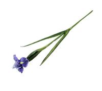 BDFJEDS 2 Pcs Real Touch Iris Fake Flowers House Room Decor Flores Hand Feel Fleurs Artificielles Wedding Decoration(Color 1)
