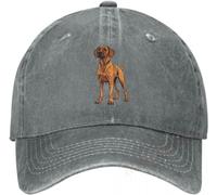 BDJYHACP Baseball Cap Snapback Sun Hat Rhodesian Ridgeback Unisex Denim Cap Soft Adjustable Baseball Hat Gift for Dog Lovers Birthday Gift for Men Women