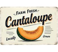 BDRKLDC 12X8 inch Funny Retro Farm Cantaloupe Metal Tin Sign Street Wall Bar Yard Farmhouse Store Market Country Farm Outdoor Wall Decor Poster Gifts.