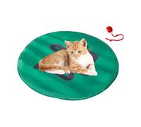 BDSHGRDH cat toys， 2 in 1 Fun Hunting Game for Floor Indoor Play Enrichment Chasing Activity(Green)