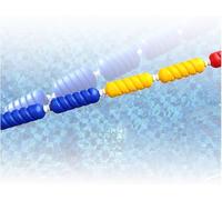 BDSHGRDH lane divider， Pool Floating Wave Breaker Safety Rope For Lane Splitting In Swimming Competitions(Steel Wire Ropes,6m)