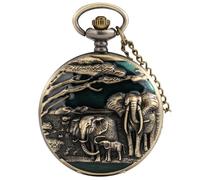 BDSHGRDH Pocket Watch， Vintage Quartz Movement Large Pocket Watch, Glue Star Moon Hanging, Chain, Men's, Women's