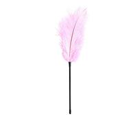 BDSM Sexy Feather Stick Sex Toys for Women Erotic Torture Tool Teasing Feather Stick Bed Sensory Toys(Pink）