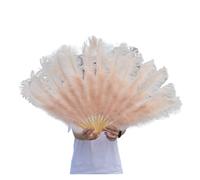 BDXMKS Large Ostrich Feather Fan 1/2pcs Natural Feather Fan for 13 Bone Big Hand Held Folding Fan 100/130CM Craft Carnival Wedding Stage Dance Decor(Champagne,Small fan 2pc)