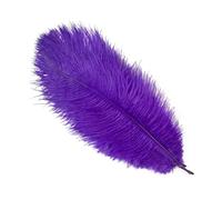 BDXMKS Large Ostrich Feather Fan 10Pcs/Lot Natural Colourful Feathers for Crafts Wedding Party Decoration Real Table Centerpieces Plumas Decor(Deep Purple,25-30cm)