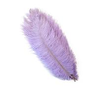 BDXMKS Large Ostrich Feather Fan 10Pcs/Lot Natural Colourful Feathers for Crafts Wedding Party Decoration Real Table Centerpieces Plumas Decor(Light purple,35-40cm)