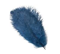 BDXMKS Large Ostrich Feather Fan 10Pcs/Lot Natural Colourful Feathers for Crafts Wedding Party Decoration Real Table Centerpieces Plumas Decor(Blue,30-35cm)