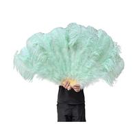 BDXMKS Large Ostrich Feather Fan 130CM/100CM White Big Feather Fan Fluffy 13 Bone Handheld for Carnival Dance Stage Performance & DIY Crafts(33 Mint Green,Small fan 1Pair(two))
