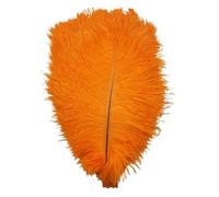 BDXMKS Large Ostrich Feather Fan 35-40 CM Feathers For Crafts Hotel Party Wedding Decoration Plumes White Black Feather(Orange,10pcs)