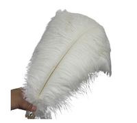 BDXMKS Large Ostrich Feather Fan 50-55CM 20-22-Inch Big Pole Feathers Natural Dyed Carnival Decor Feathers For Crafts Wedding Decorations Plume(White,10pcs)