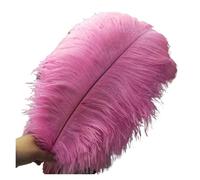 BDXMKS Large Ostrich Feather Fan 50-55CM 20-22-Inch Big Pole Feathers Natural Dyed Carnival Decor Feathers For Crafts Wedding Decorations Plume(Pink,10pcs)