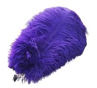 BDXMKS Large Ostrich Feather Fan 50-55CM 20-22-Inch Big Pole Feathers Natural Dyed Carnival Decor Feathers For Crafts Wedding Decorations Plume(PURPLE,10pcs)