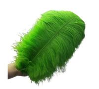 BDXMKS Large Ostrich Feather Fan 50-55CM 20-22-Inch Big Pole Feathers Natural Dyed Carnival Decor Feathers For Crafts Wedding Decorations Plume(Green,10pcs)