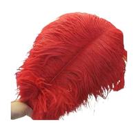 BDXMKS Large Ostrich Feather Fan 50-55CM 20-22-Inch Big Pole Feathers Natural Dyed Carnival Decor Feathers For Crafts Wedding Decorations Plume(Red,10pcs)