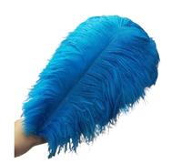 BDXMKS Large Ostrich Feather Fan 50-55CM 20-22-Inch Big Pole Feathers Natural Dyed Carnival Decor Feathers For Crafts Wedding Decorations Plume(Lake Blue,10pcs)