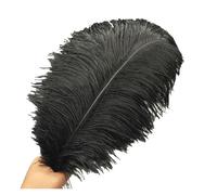 BDXMKS Large Ostrich Feather Fan 50-55CM 20-22-Inch Big Pole Feathers Natural Dyed Carnival Decor Feathers For Crafts Wedding Decorations Plume(Black,10pcs)