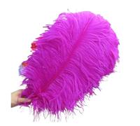 BDXMKS Large Ostrich Feather Fan 50-55CM 20-22-Inch Big Pole Feathers Natural Dyed Carnival Decor Feathers For Crafts Wedding Decorations Plume(Rose,100pcs)