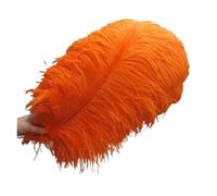 BDXMKS Large Ostrich Feather Fan 50-55CM 20-22-Inch Big Pole Feathers Natural Dyed Carnival Decor Feathers For Crafts Wedding Decorations Plume(Orange,10pcs)