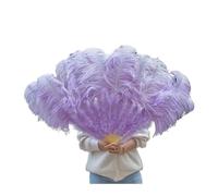 BDXMKS Large Ostrich Feather Fan Feather Fans for Wedding Dance Party Alloween Performance Decor Feather Accessories Plume Crafts(Light Purple,75-130cm2 pcs)