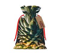 Be a pineapple 1 Gift Bag with Handles and tag, Perfect for Christmas, Birthday, Wedding or Daily Gift - (M)
