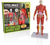 Be Amazing Toys Science To The Max Interactive Human Body
