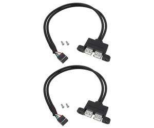 Be In Your Mind 2PCS 9-Pin To Dual Usb 2.0 Ports Additional Cable 0.3m Compatible with ASRock DeskMini Motherboard