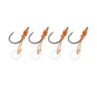 Be In Your Mind 4pcs Size 10 Barbed Pre-Tied Hook Hair Rig for Carp Fishing Accessories