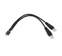 Be In Your Mind USB A to 9 Pin USB Header 9 Pin Motherboard Male IDC to Dual USB 2.0 Type A Male Cable Cord Extender Adapter Converter Cable, 20cm