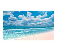 Beach Aquarium Background Sunset Peaceful Beach Fish Tank Background Ocean Seascape Blue Sky Terrarium Backgrounds Amazing Seacoast Palm Trees Ocean Waves Shore Reptile Tank Backgrounds 24x12in