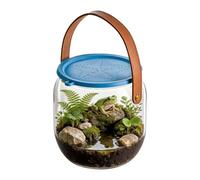 Beach Aquarium | Clear Fishing Bucket with Handle | Fish Travel Container | for Home Outdoor Beach Pool Lake Travel Crabs Seashells Starfish Betta Aquatic Life