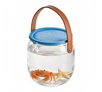 Beach Aquarium | Transparent Fishing Bucket with Handle | Support Tray for Fish | for Small Turtles, Shells, Starfish, Betta, Home, Outdoor, Beach, Pool, Lake, Travel