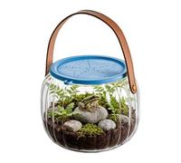 Beach Aquarium | With Silicone Lid Portable Handle | Transparent Catch Aquarium | For Betta Crabs Small Turtles Shells Life Aquatic Home Outdoor Beach Pool Lake