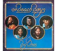 Beach Boys / 15 Big Ones