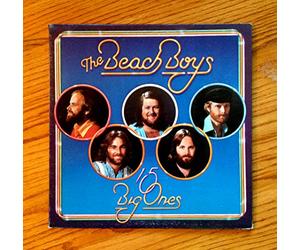 Beach Boys - 15 Big Ones [VINYL]