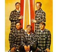 Beach Boys - Concert Days [CASSETTE]