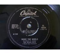 Beach Boys - Do It Again / Wake the World [7" Vinyl]