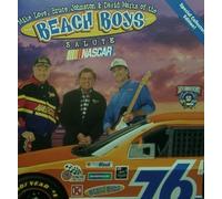 Beach Boys - Mike Love, Bruce Johnston and David Marks of the Beach Boys Salute Nascar