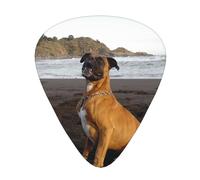 Beach Brown Boxer Dog Portrait,12 Pcs Guitar Pick,3 Different Thickness Plectrums for Acoustic Guitar Bass Ukulele (0.46mm 0.96mm 0.71mm)