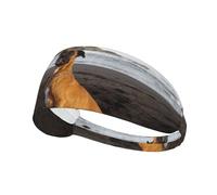 Beach Brown Boxer Dog Portrait,Sports Sweatband for Unisex Multi Headband Elastic Exercise Hairband