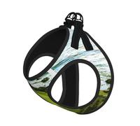 Beach Golf Course Compact Pet Suspender Vest-The Perfect Small Pet For A Comfortable Walk