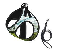 Beach Golf Course print Dog Harness, 2X Buckle,Dog Vest,No Pulling Front Leash Clip,for Small Medium Dogs
